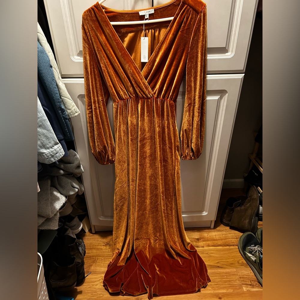 Baltic Born Rust Colored Velvet Dress